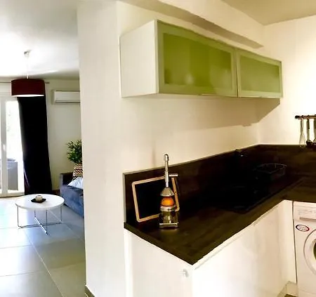 Le Diodon De * Sagone (Corsica)